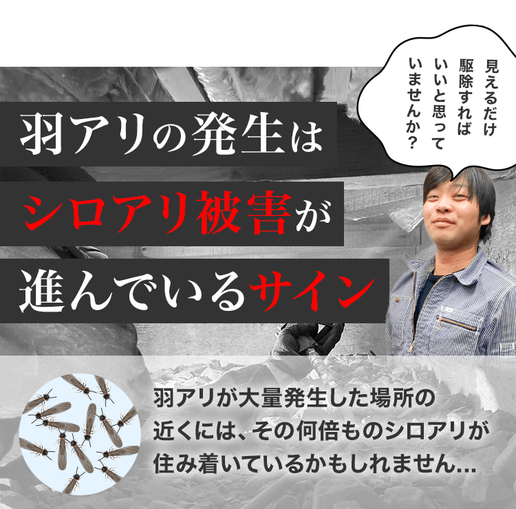 羽アリの発生はシロアリ被害が進んでいるサイン