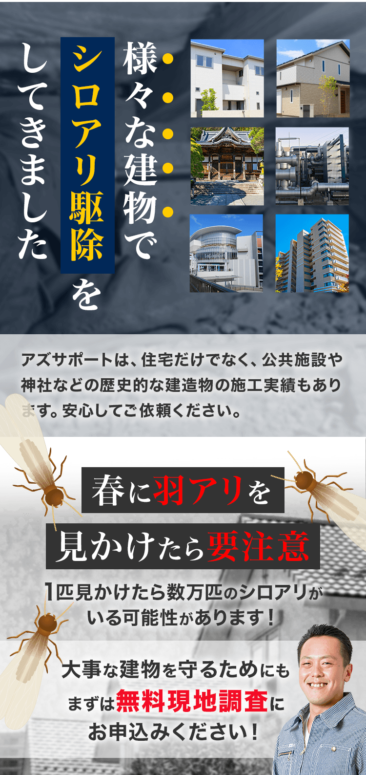 シロアリ駆除料金