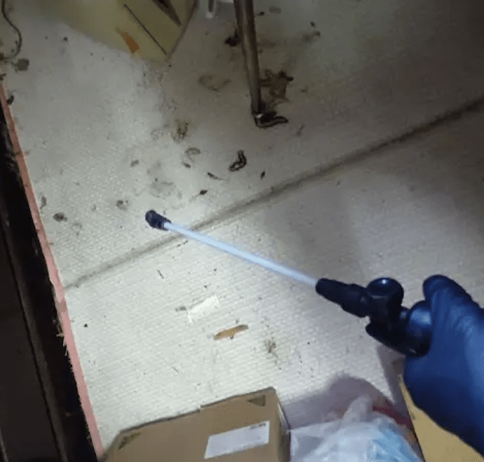 清掃・除菌・消臭・殺虫