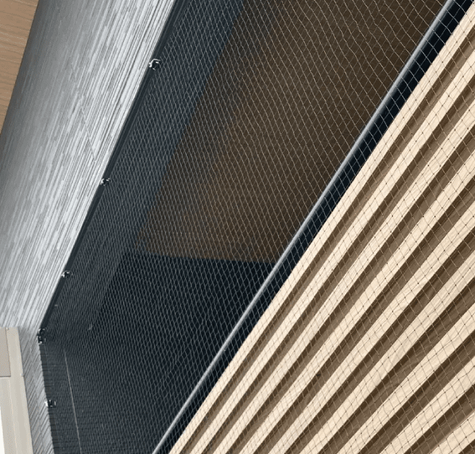 防鳥ネットの設置