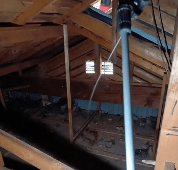 清掃・除菌・消臭・殺虫