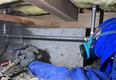 施工（土壌・木部・壁面処理）