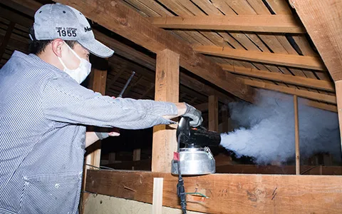 施工(確認と再設置)