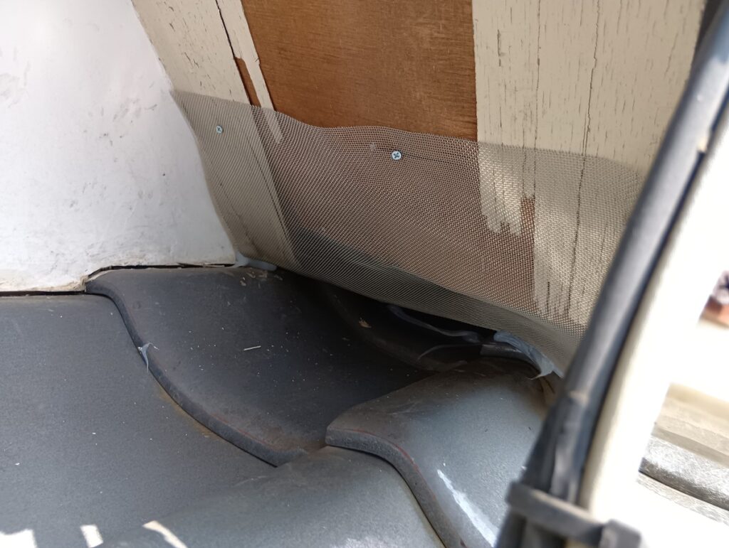 アズサポート撮影＿アライグマがはがしたべニア板