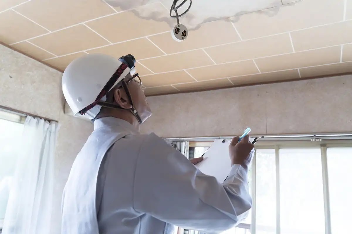 ハクビシンが住み着いたらアズサポートにご連絡ください