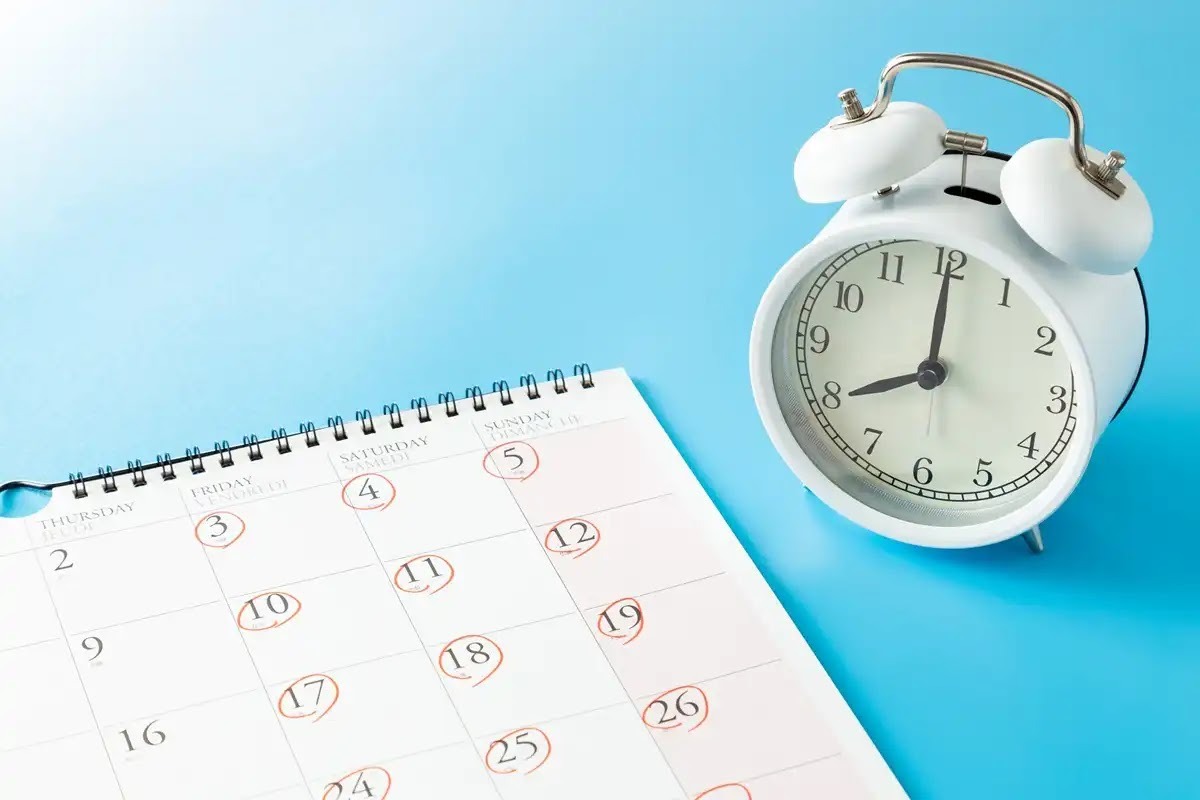 コウモリ対策は春と秋の日没後がおすすめ