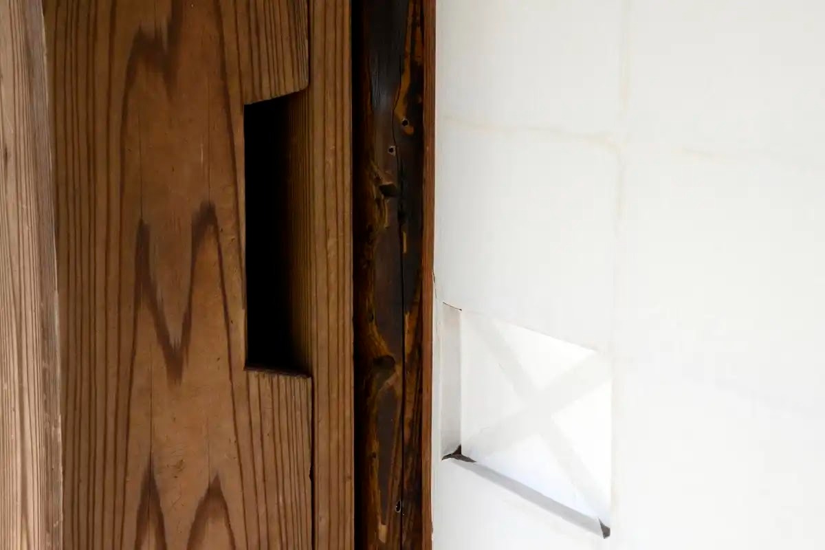 雨戸のコウモリ対策