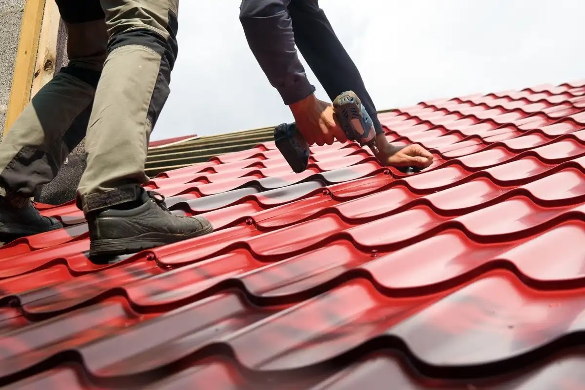 ハクビシンのフン対策はアズサポートお任せ!