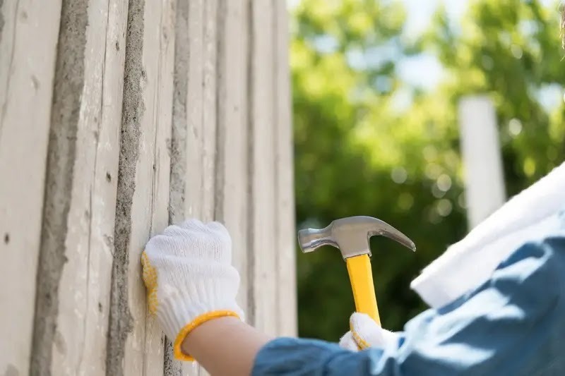 ハクビシンの鳴き声がうるさいなら追い出し・再侵入防止をしよう