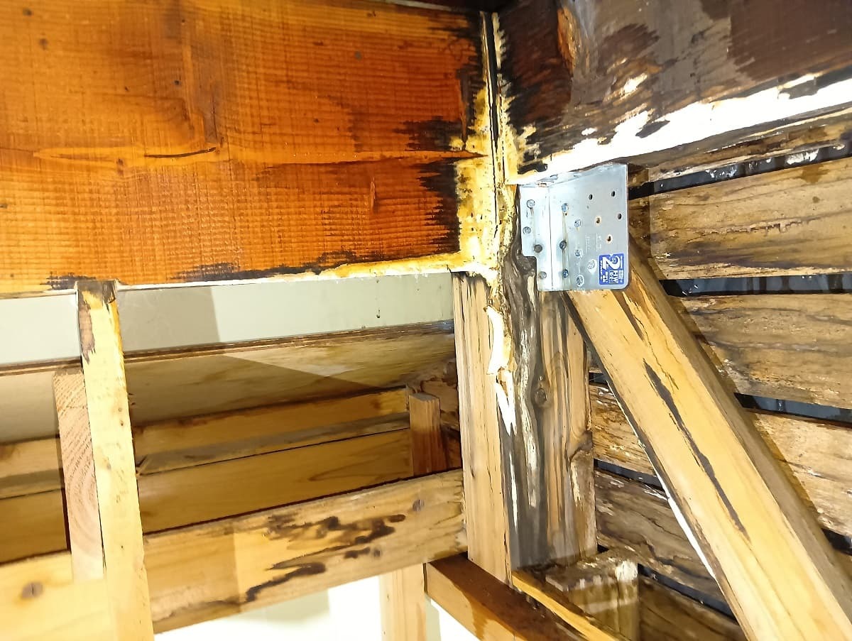 雨漏りによって腐朽した天井裏の木部