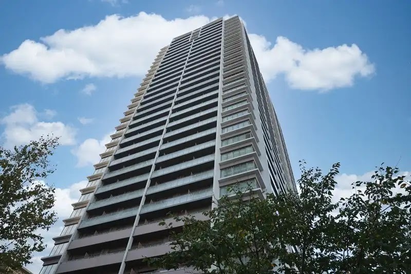 マンションで羽アリが大量発生