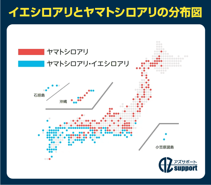 イエ・ヤマトシロアリの分布図