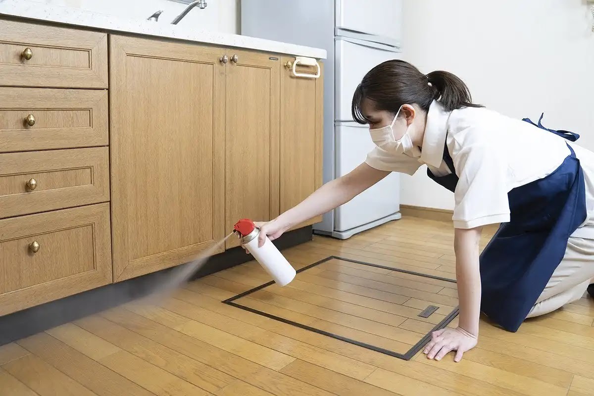 イエシロアリは自分では駆除できない