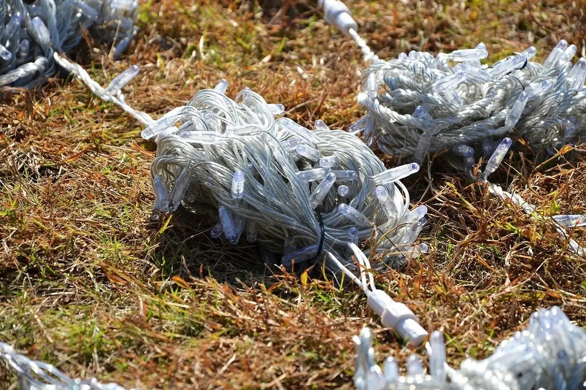 イタチの追い払いは光を使う