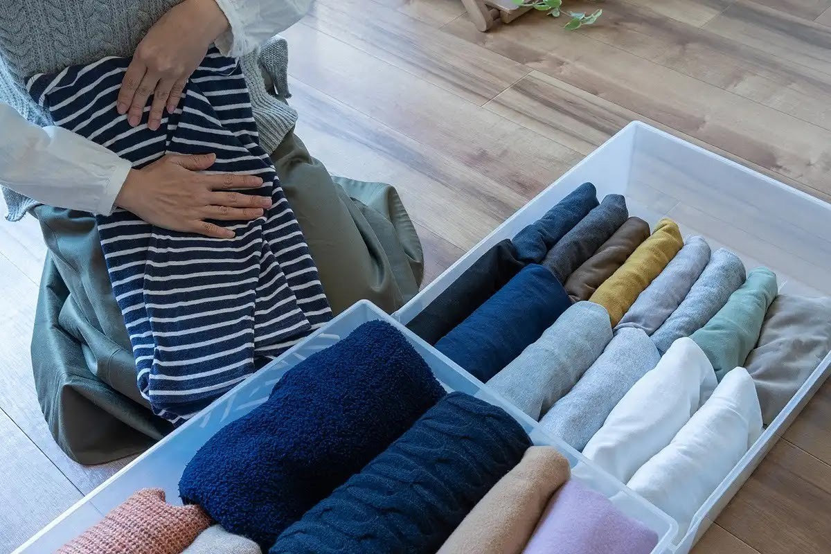 クマネズミ予防の一つ整理整頓