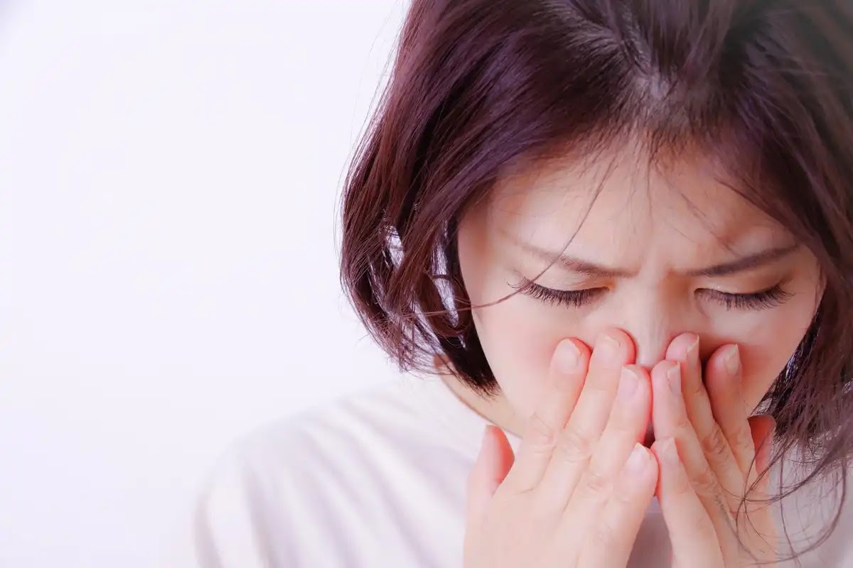 コウモリ駆除相場を安くしたいなら早めに対応