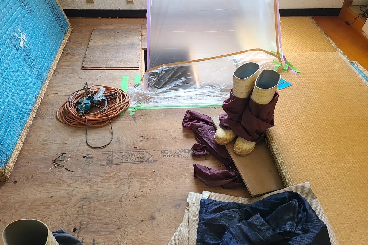 シロアリ大量発生に伴うシロアリ駆除風景