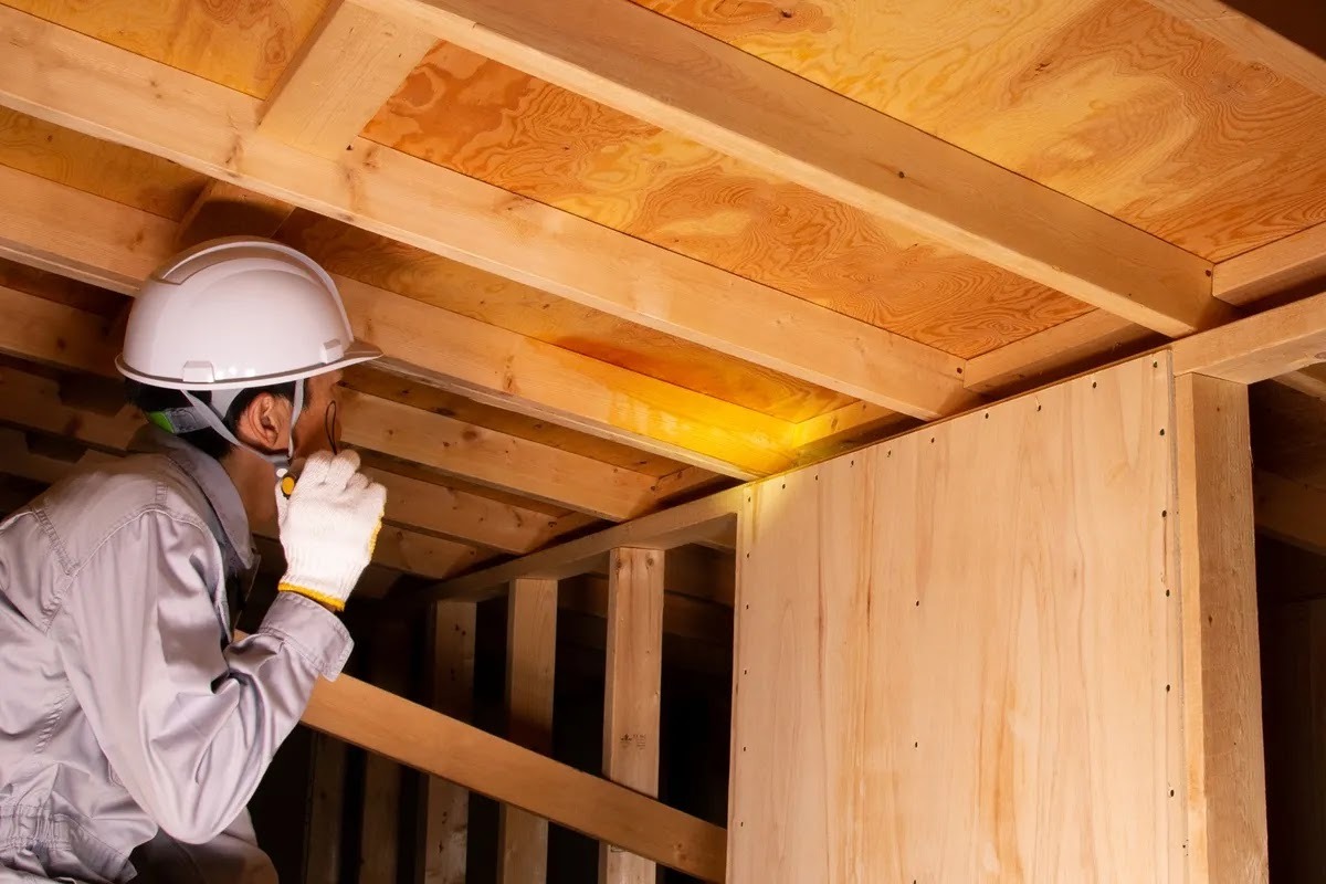 シロアリ駆除料金を決める調査風景