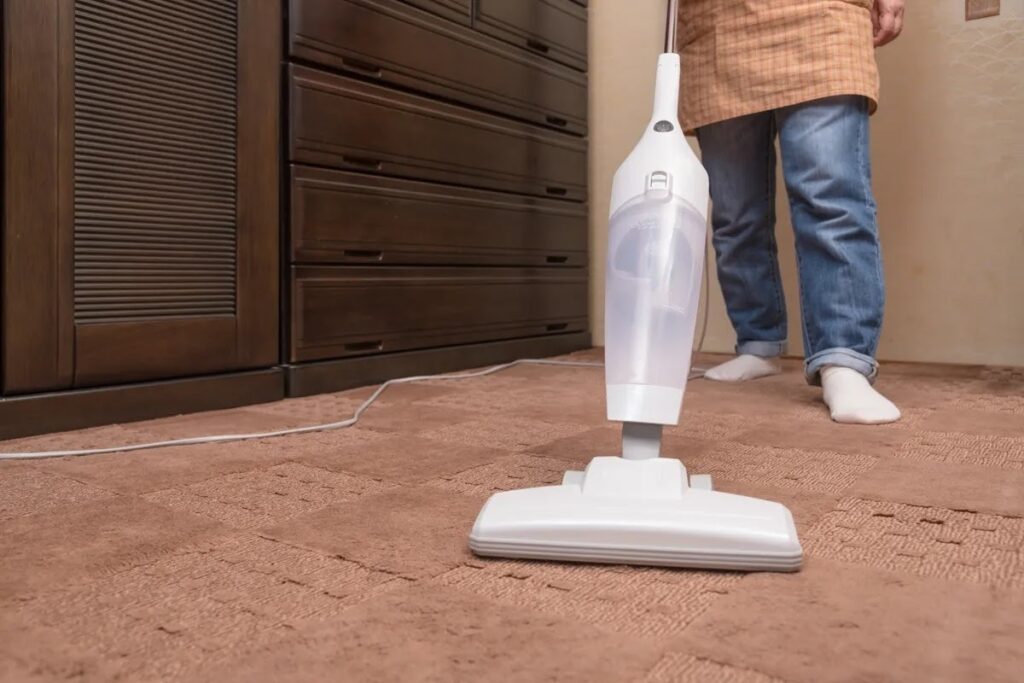 羽アリ駆除には掃除機が効果的