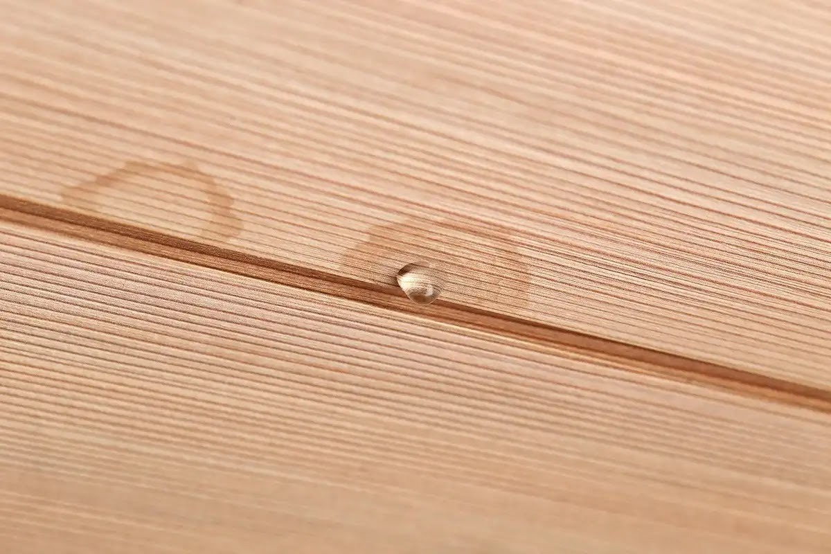 シロアリ駆除は湿気・エサの多い家はやるべき