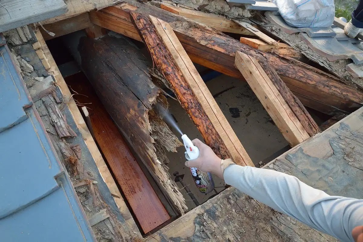 シロアリ駆除をしないと建材を食べられる