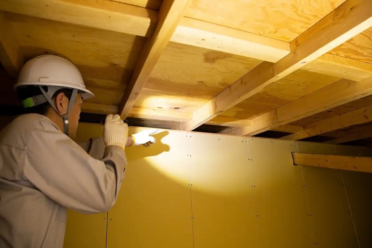 シロアリ駆除のための調査風景