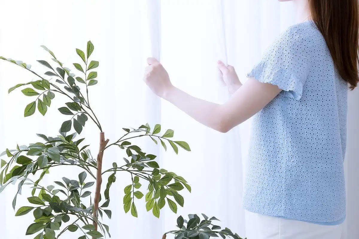 シロアリの予防には換気が大事