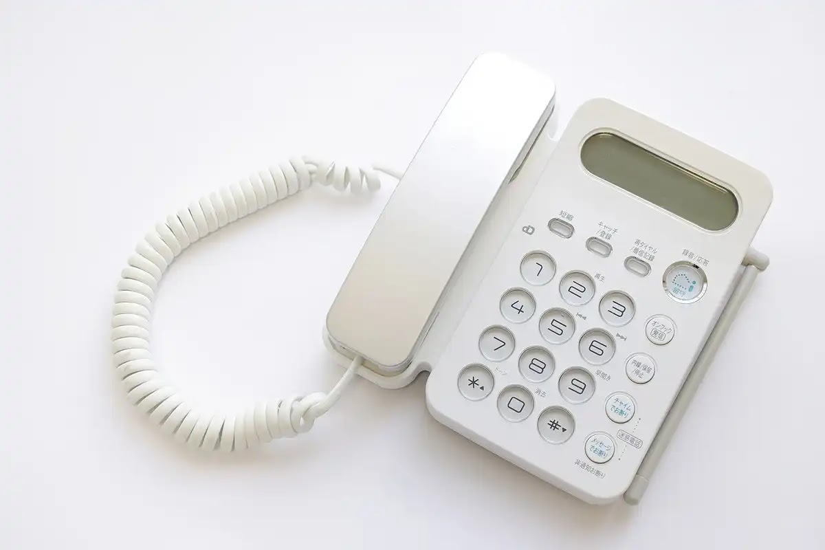 シロアリを見つけたら業者に連絡