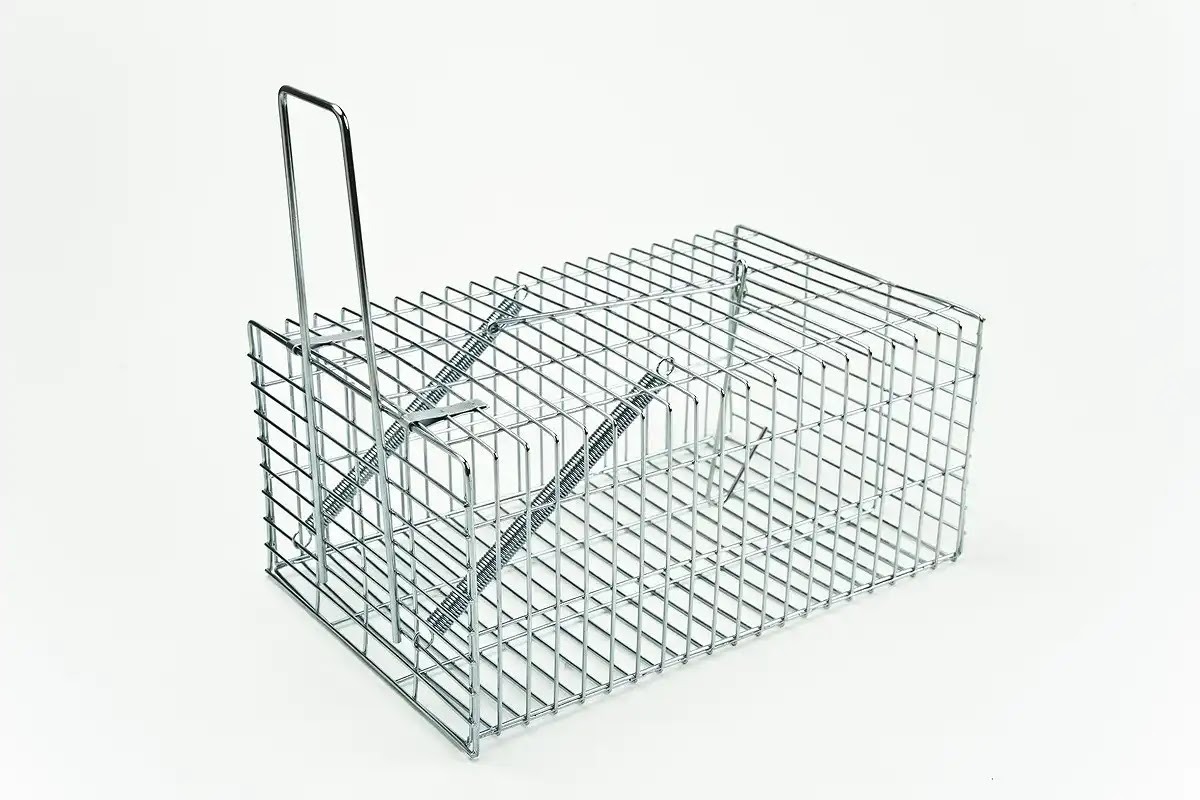 ネズミ駆除費用を抑えるために自力駆除で必要な道具