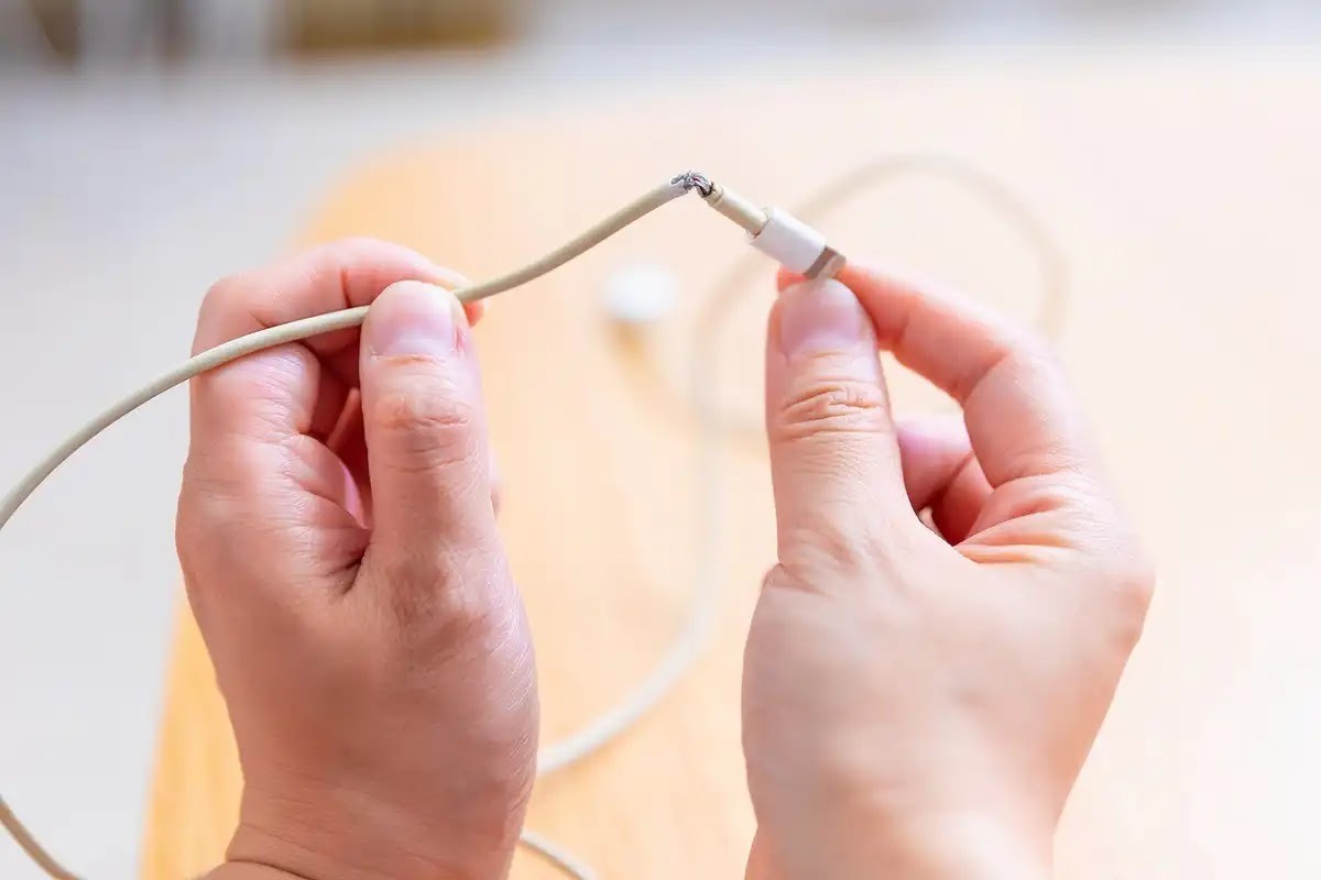 ネズミの生態、被害や対策を解説