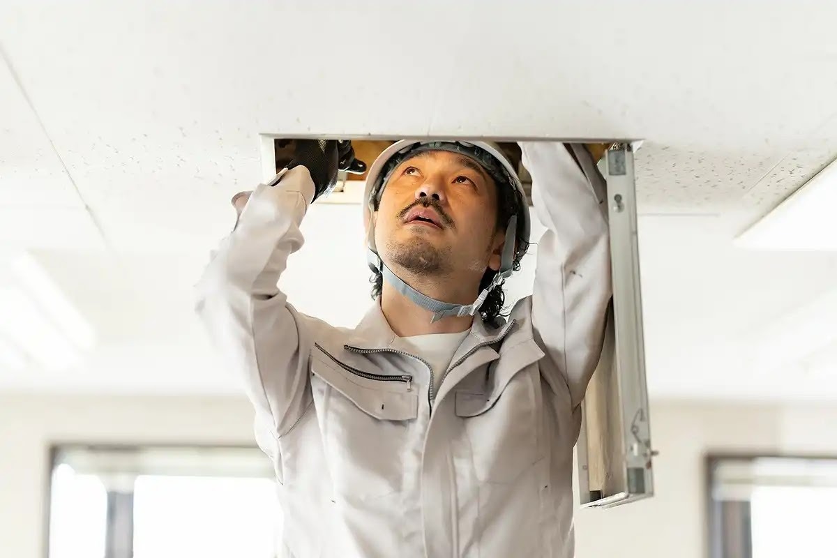 ネズミの種類特定はアズサポートにお任せ