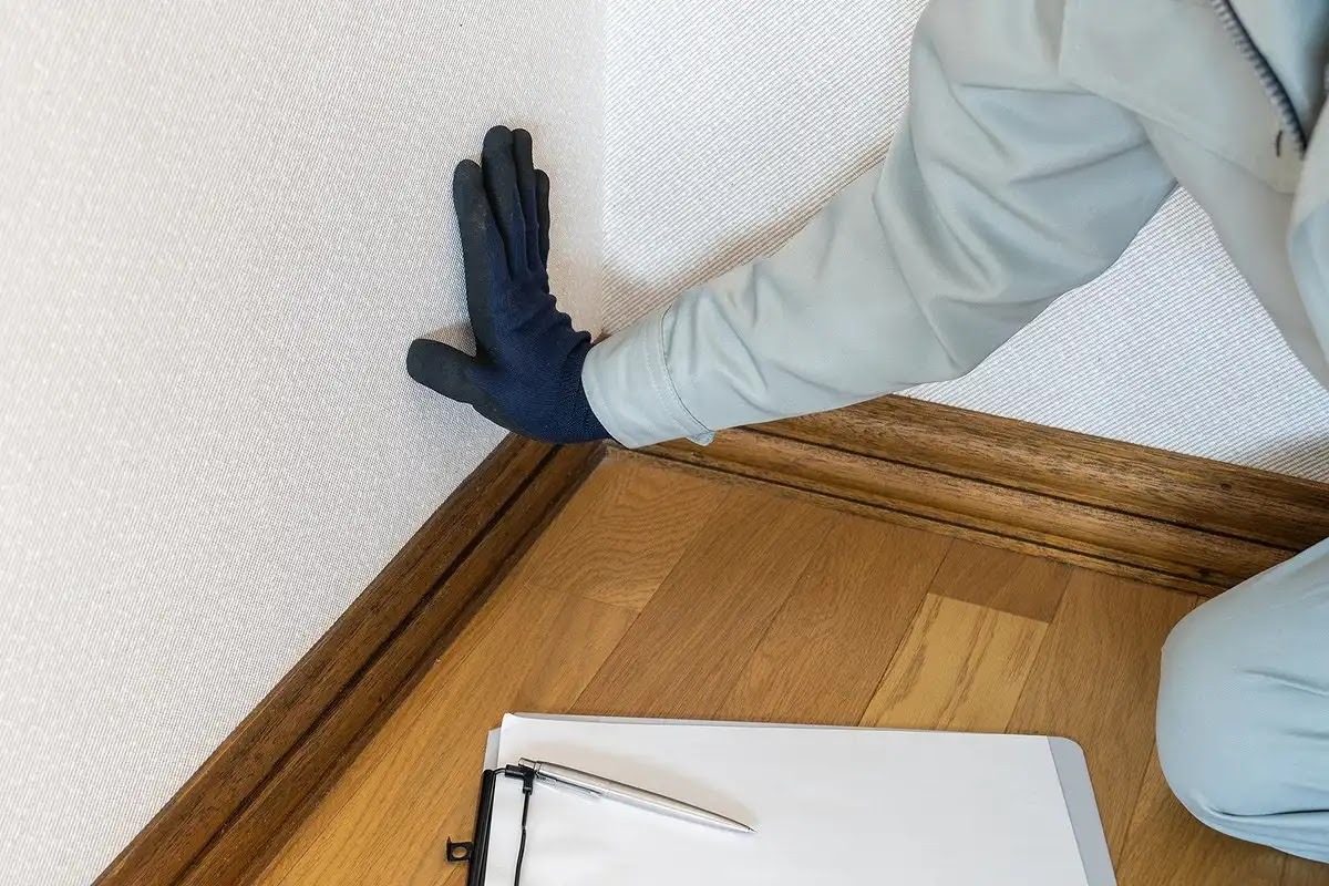 ネズミ駆除ならアズサポートにお任せください