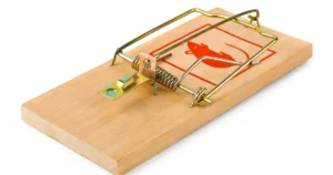 ネズミの駆除方法は?正しい対策を知ってネズミを退治しよう