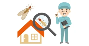 羽アリを自分で駆除する方法は?NGな方法も紹介