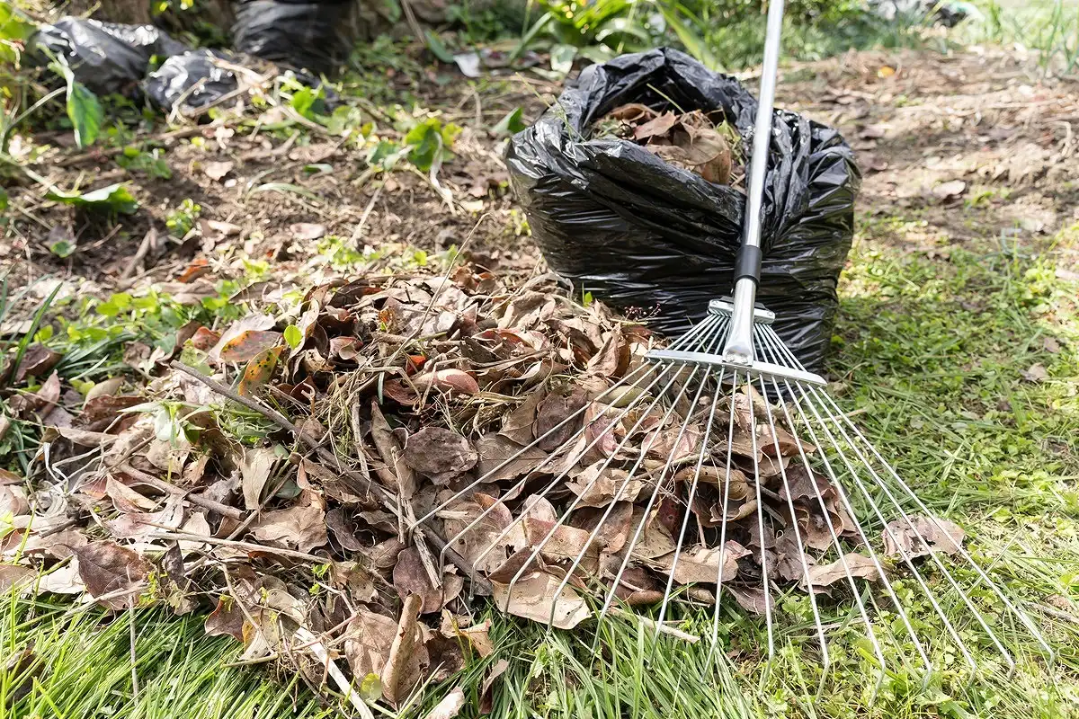 シロアリ駆除を自分でおこなったあとの予防方法