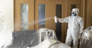 自分でシロアリ駆除する方法を徹底解説！必要なものや注意点を紹介