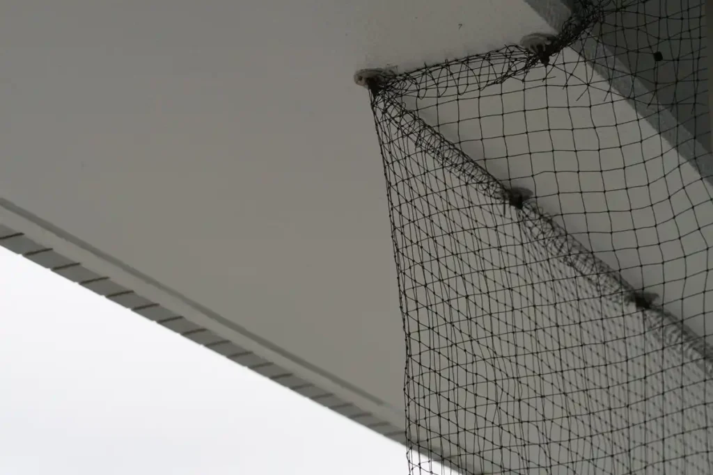 鳩対策で防鳥ネットを張る