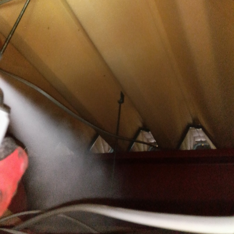 忌避スプレーを散布