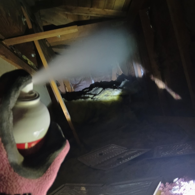 忌避スプレーを散布