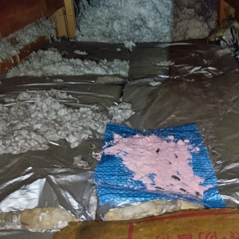 殺鼠剤を設置した様子