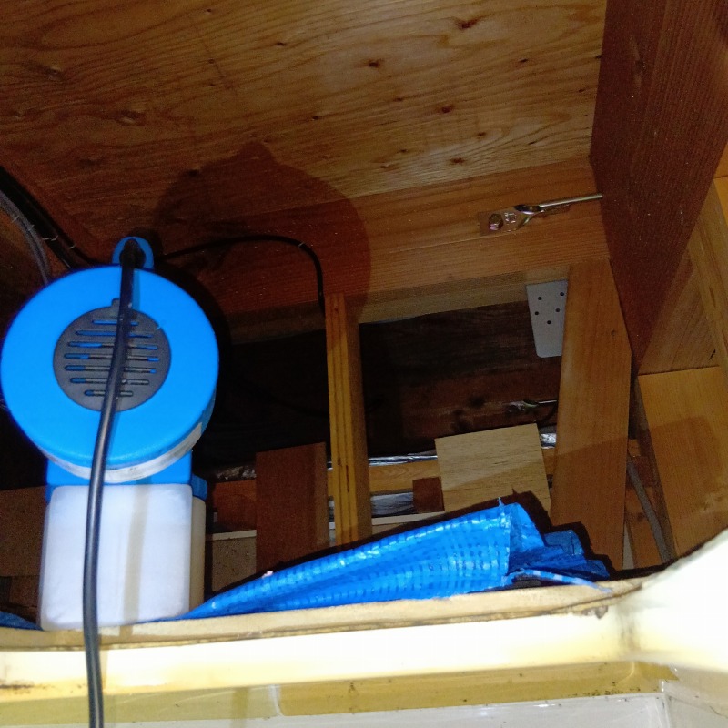 噴霧器で薬剤を散布