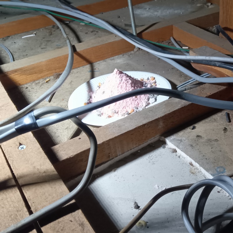 殺鼠剤を設置した様子