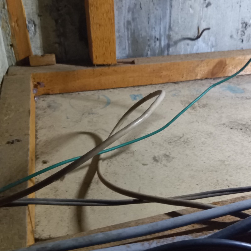 フン清掃が完了した様子