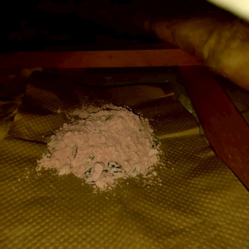 殺鼠剤を設置した様子