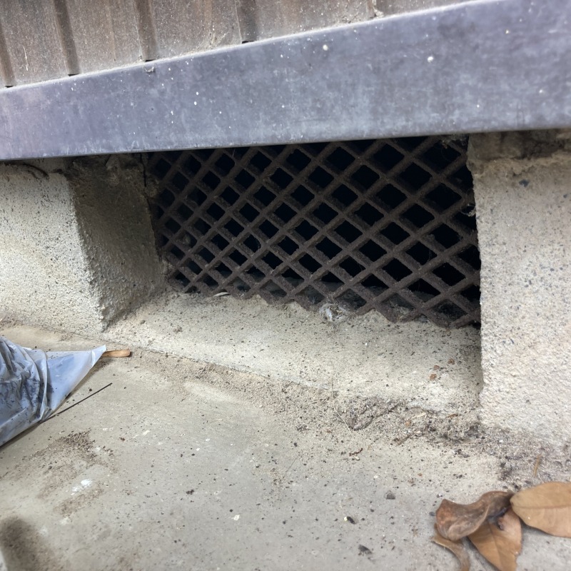 ネズミ駆除の施工事例（岐阜県岐阜市高田）