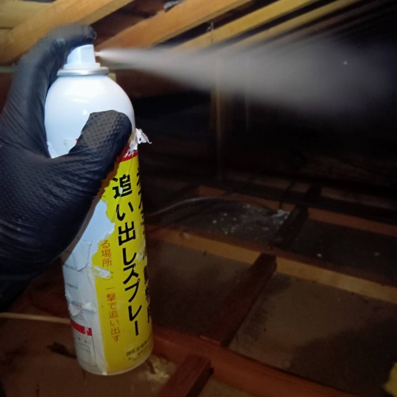 忌避スプレーを散布