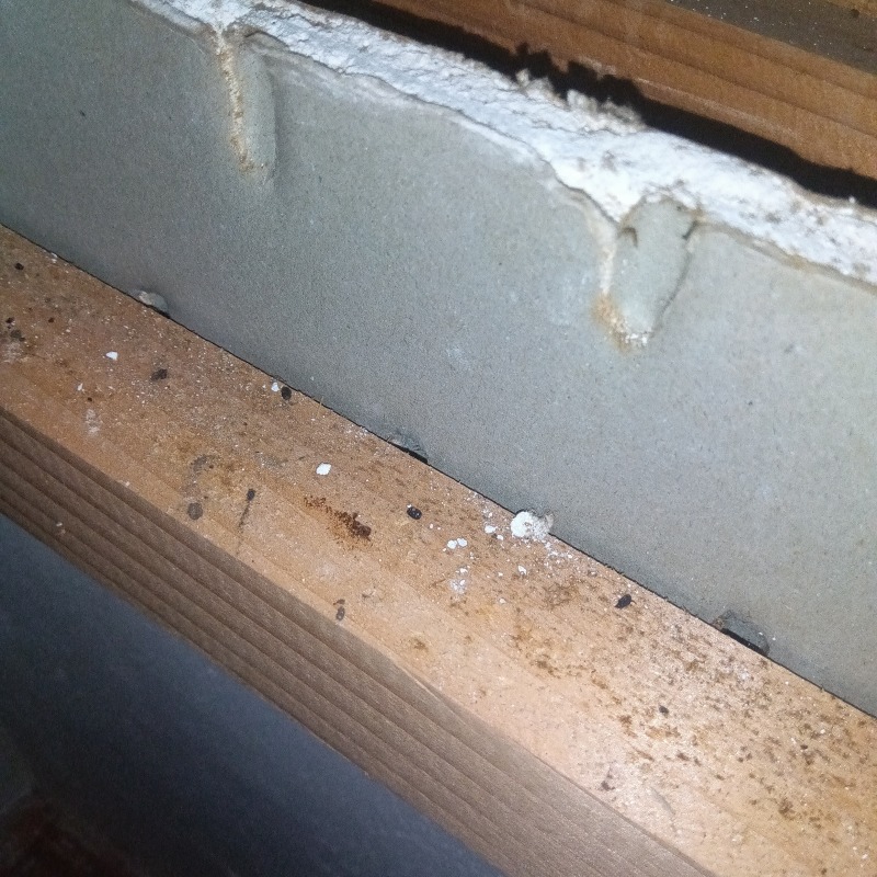 ネズミ駆除の施工事例（神奈川県大和市南林間）