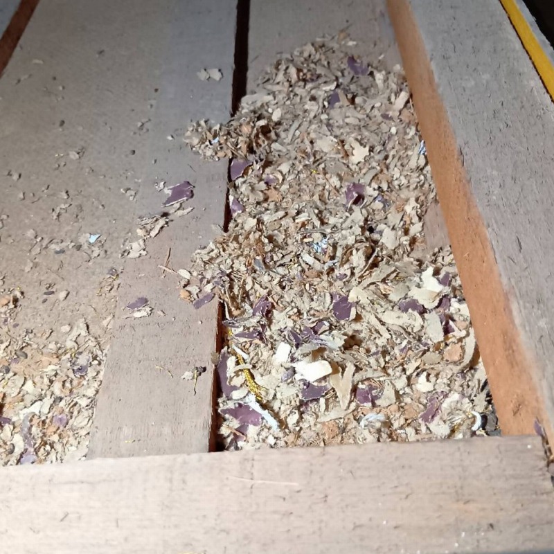 ネズミ駆除の施工事例（鹿児島県鹿児島市吉野町）