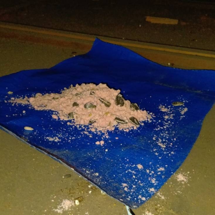 殺鼠剤を設置した様子