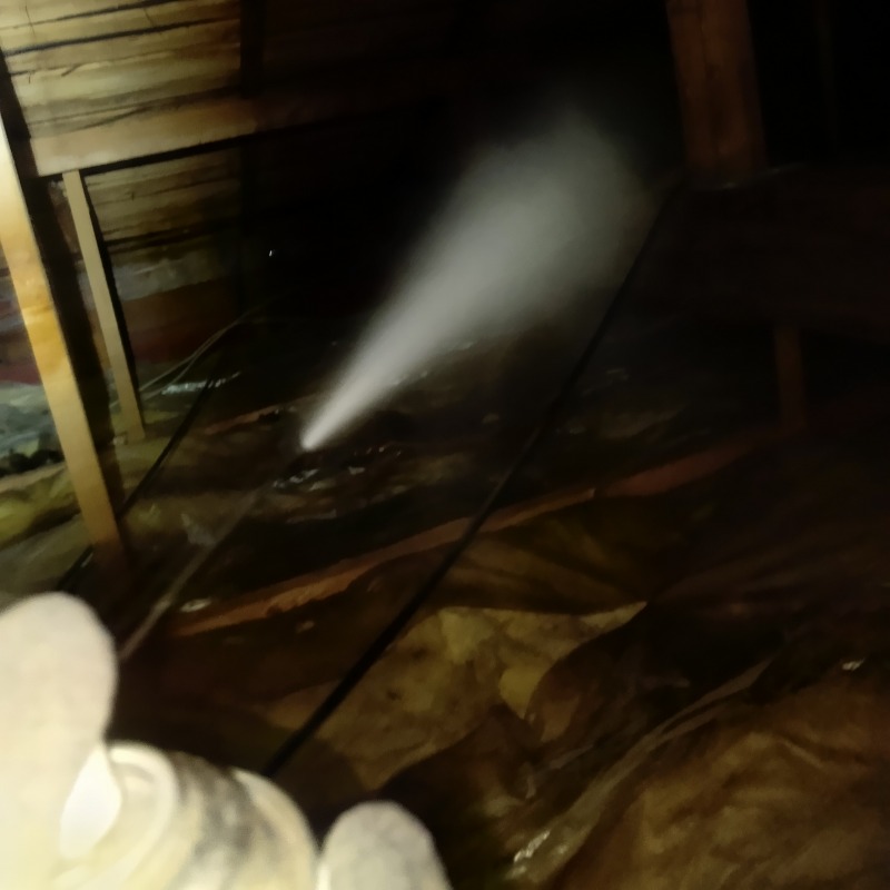 忌避スプレーを散布